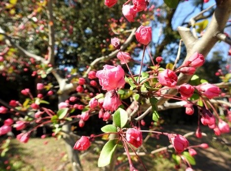 画像13.8.jpg