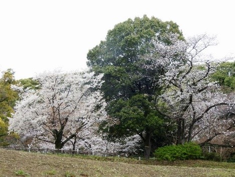 画像15.2.jpg